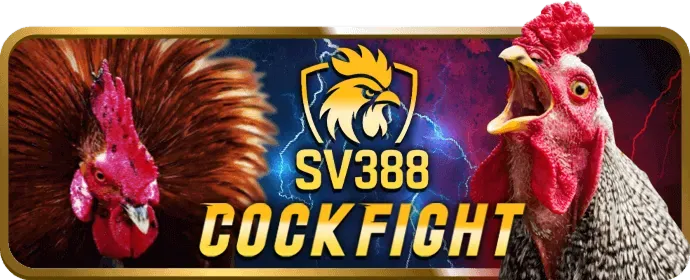 Tăng vốn cược bong68 bet